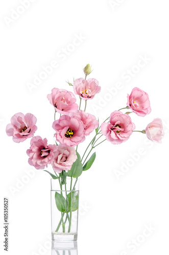 Fototapeta Naklejka Na Ścianę i Meble -  bunch of pink eustoma flowers in glass vase isolated on white