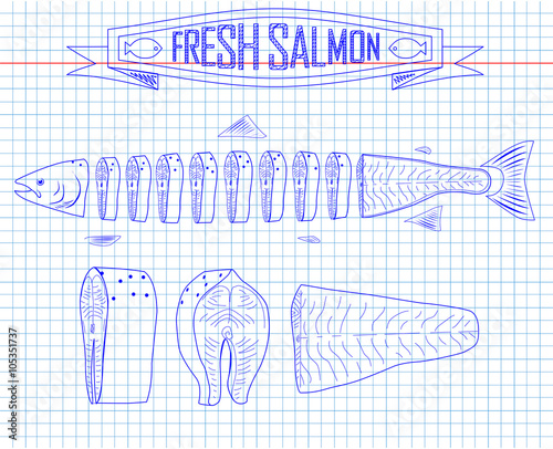 cutting scheme fresh salmon