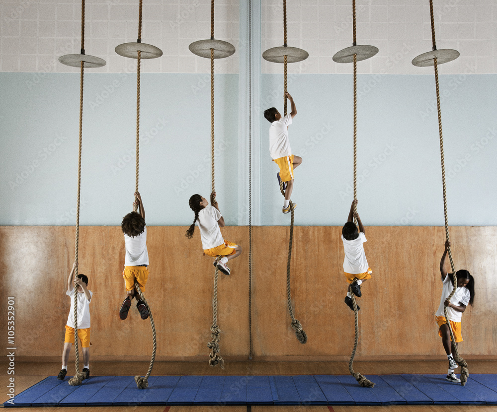 Children climbing ropes in school gym Stock Photo | Adobe Stock