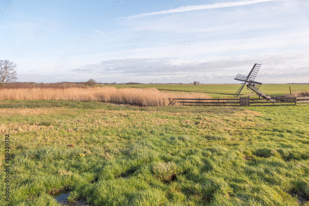 Meadow with a windmill.