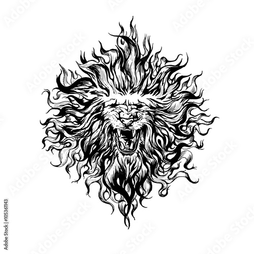 Fototapeta Naklejka Na Ścianę i Meble -  Hand drawn  vintage graphic lion head.