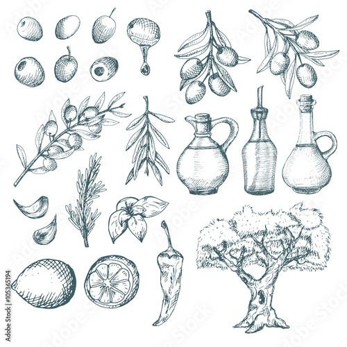 Olive products and supplements sketch.