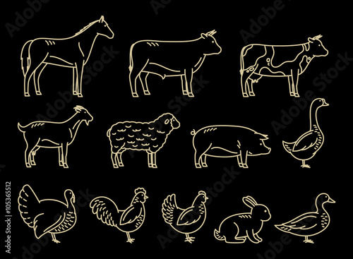 Vector Thin Line Farm Animals Icons Collection
