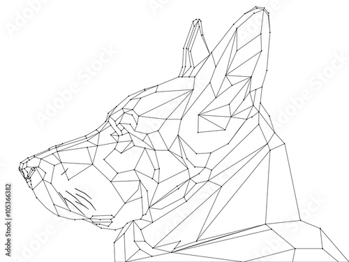  low poly shepherd snout