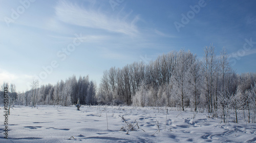 Wallpaper Mural snow Torontodigital.ca