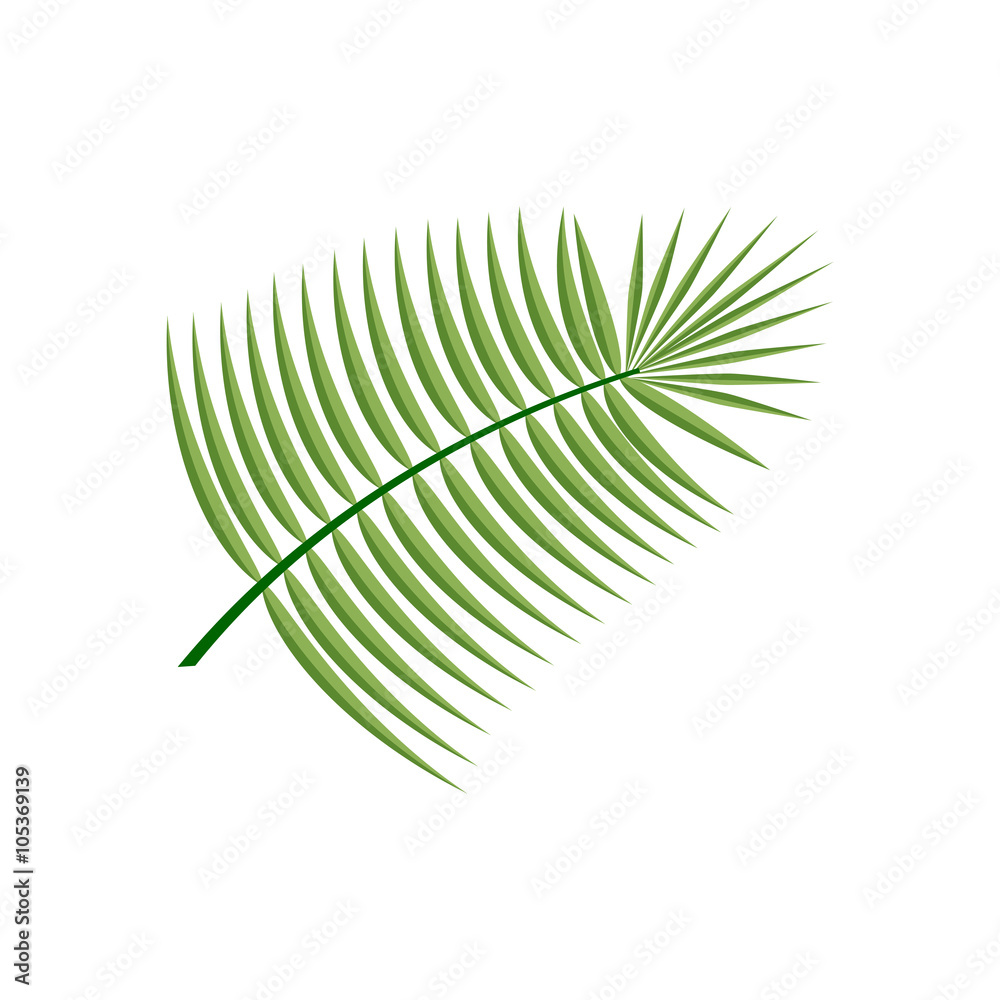 Obraz premium Coconut Leaf Icon