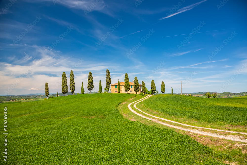 Tuscany landscape at spring , Italy
