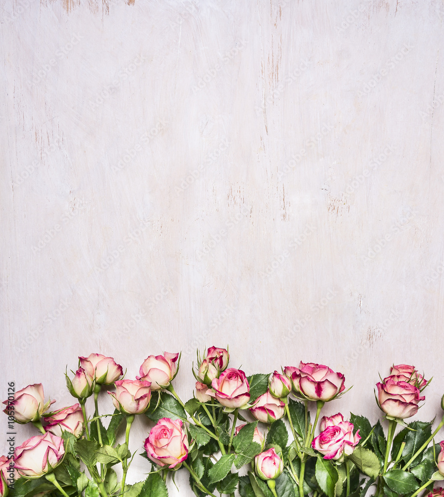 Border, spring shrub roses with leaves on the branches place for text on wooden rustic background top view Border, spring shrub roses with leaves on the branches place for text on wooden rustic background top view
