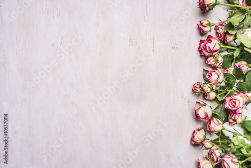 Border, spring shrub roses with leaves on the branches place for text on wooden rustic background top view © sergeyshibut