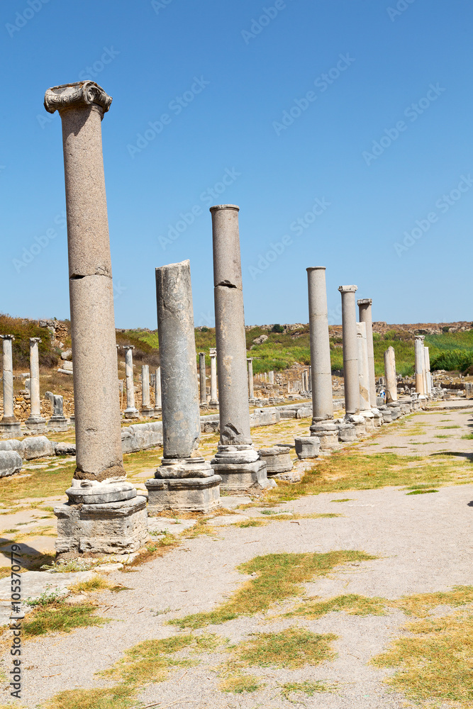 perge   column  and the roman temple