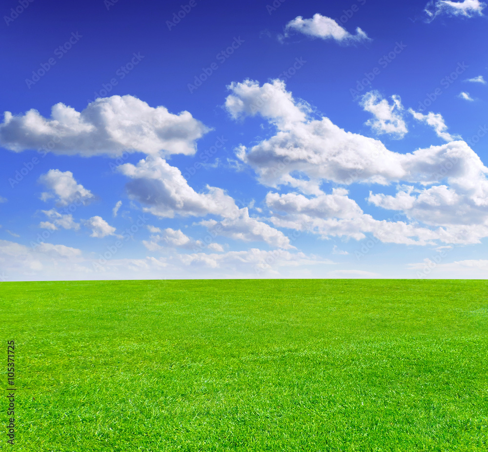 sunny meadow and blue sky and fluffy clouds sunny meadow and blue sky and fluffy clouds