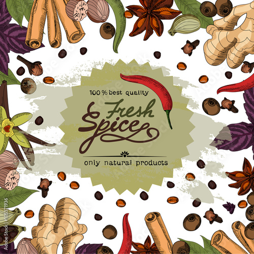 Vector card design with spice.
