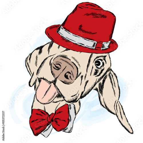 Cute dog in a hat and tie. Vector illustration.