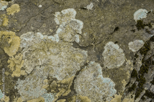 Stone