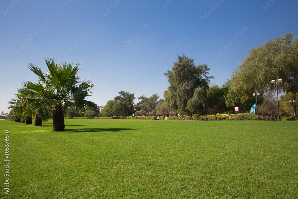 beautiful green park in