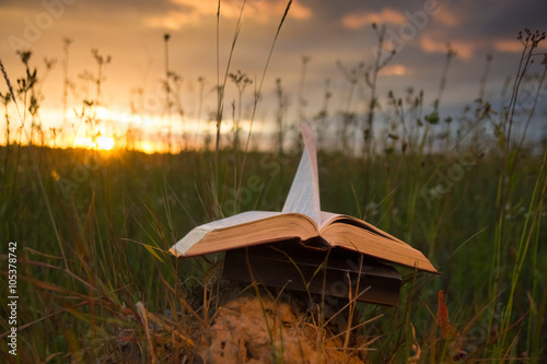 Opened hardback book diary  fanned pages on blurred nature lands