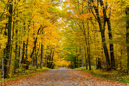 A roadway surrounded by colorful aspen and maple trees in northern Wisconsin during Autumn.
