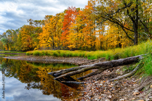 Принти на полотні Fall colors accentuate the shorline of a remote lake in northern Wisconsin
