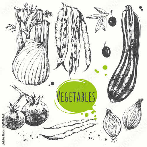 Set of hand drawn zucchini, cherry tomatoes, fennel, green beans. 