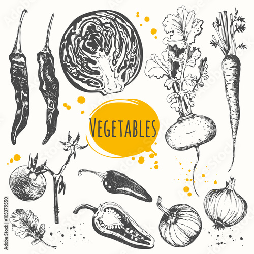 Vector illustration with sketch of mediterranean vegetable. 