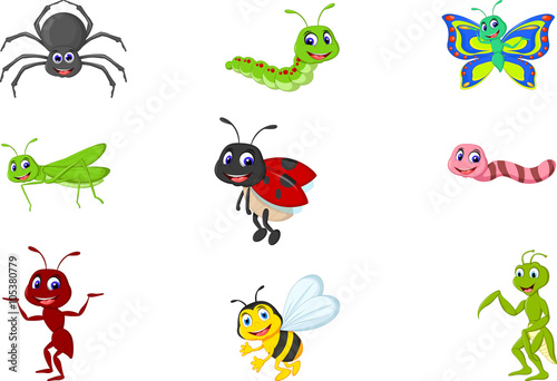 collection of insects cartoon © sanga9