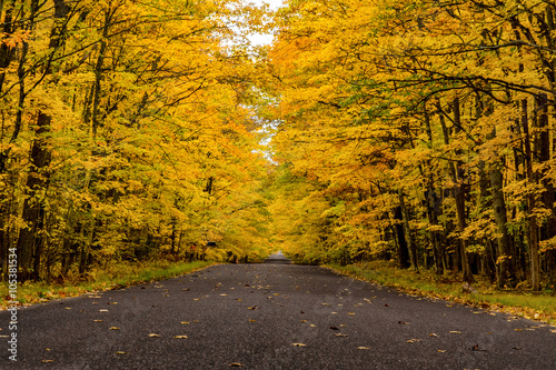 A roadway surrounded by colorful aspen and maple trees in northern Wisconsin during Autumn.