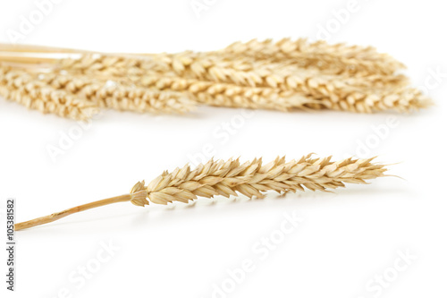 wheat on white background