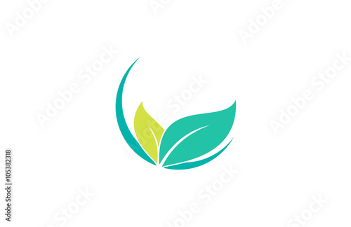 green leaf vector beauty logo