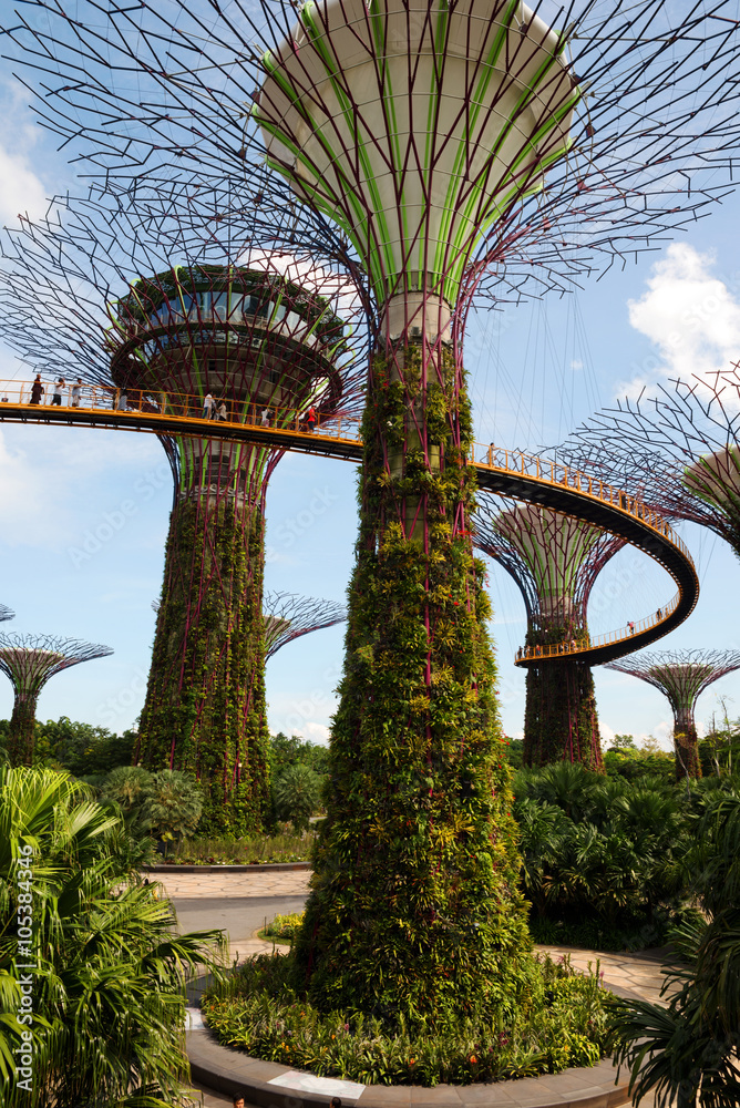Naklejka premium Singapore - March,2016.Supertrees in Gardens by the Bay in Singa