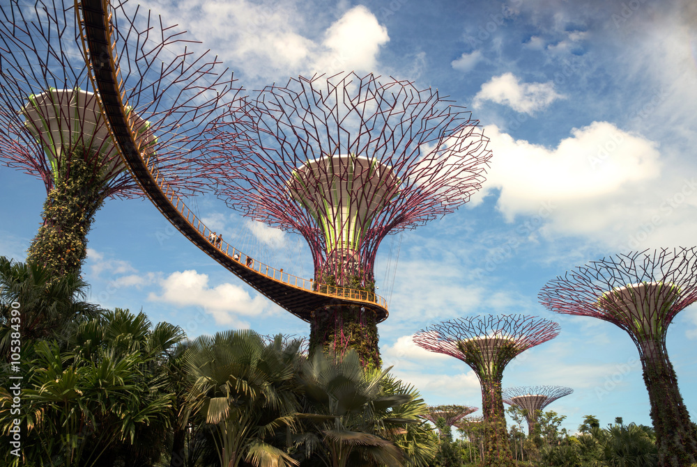 Fototapeta premium Singapore - March,2016.Gardens by the Bay in Singapore in March,