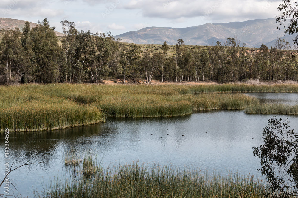 Mountain range, trees, marsh grass, and lake at Otay Lakes County Park in Chula Vista, California. Mountain range, trees, marsh grass, and lake at Otay Lakes County Park in Chula Vista, California.