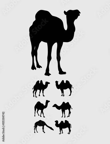 Camel Silhouettes, art vector design
