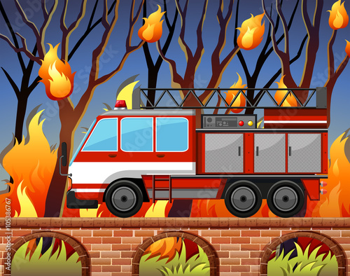 Fire truck and the wild fire at the forest