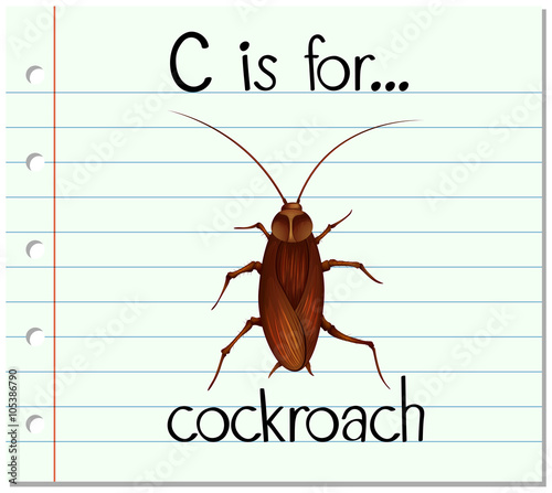 Flashcard letter C is for cockroach