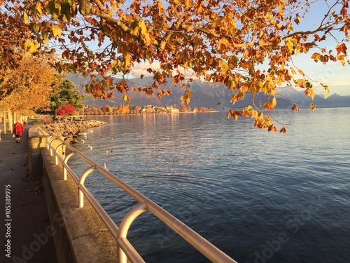Schilderij op canvas Vevey en automne