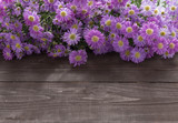 Purple cutter flowers are on the wooden background