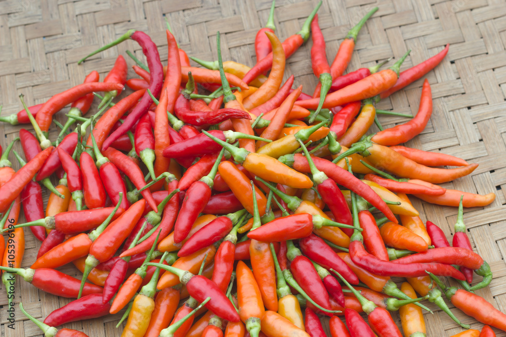 Red chilies pepper. Red chilies pepper.