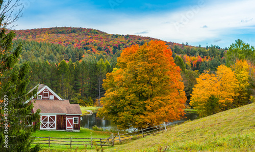 Vermont foliage © ericurquhart