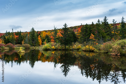Fototapeta Naklejka Na Ścianę i Meble -  Vermont in peak foliage season