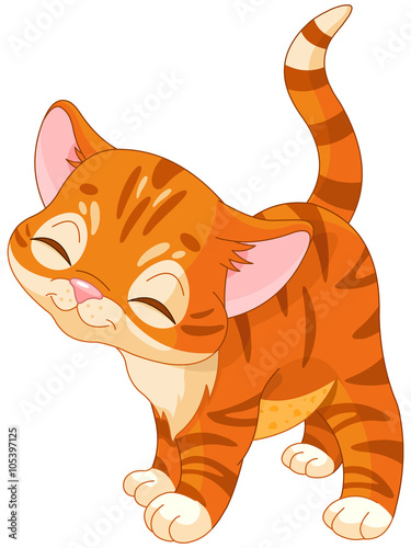 Fototapeta Naklejka Na Ścianę i Meble -  Red Kitten