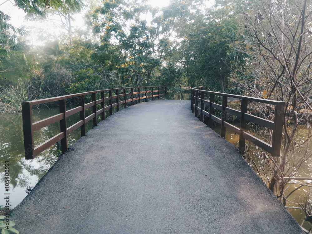 Bridge and natural background Bridge and natural background