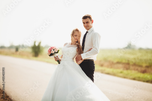 Beautiful wedding couple, bride and groom posing on road