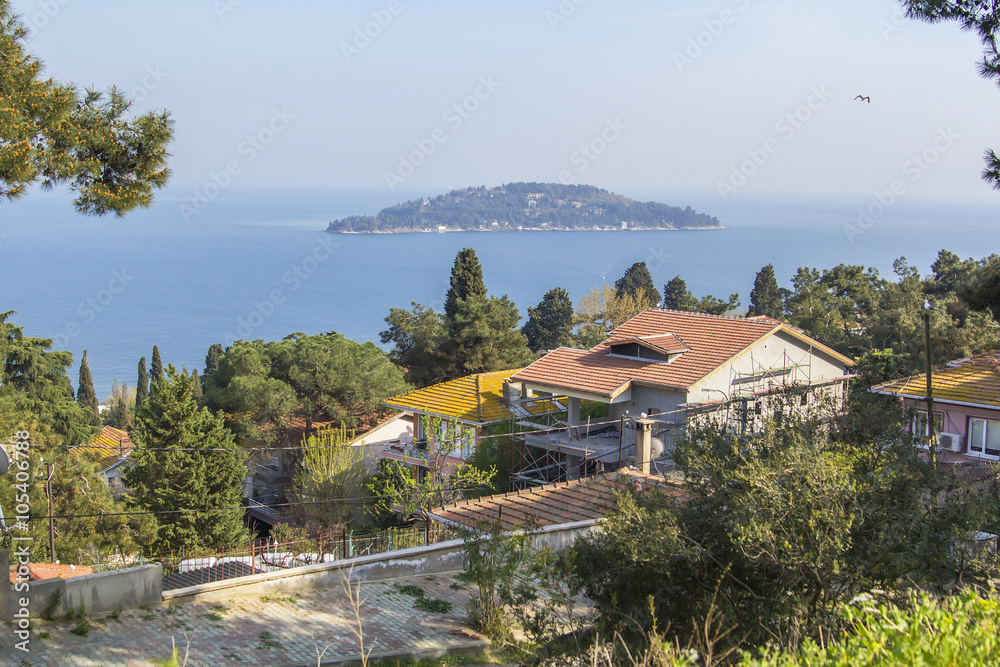 background landscape view of the beautiful manor house on the island of Buyukada, Istanbul