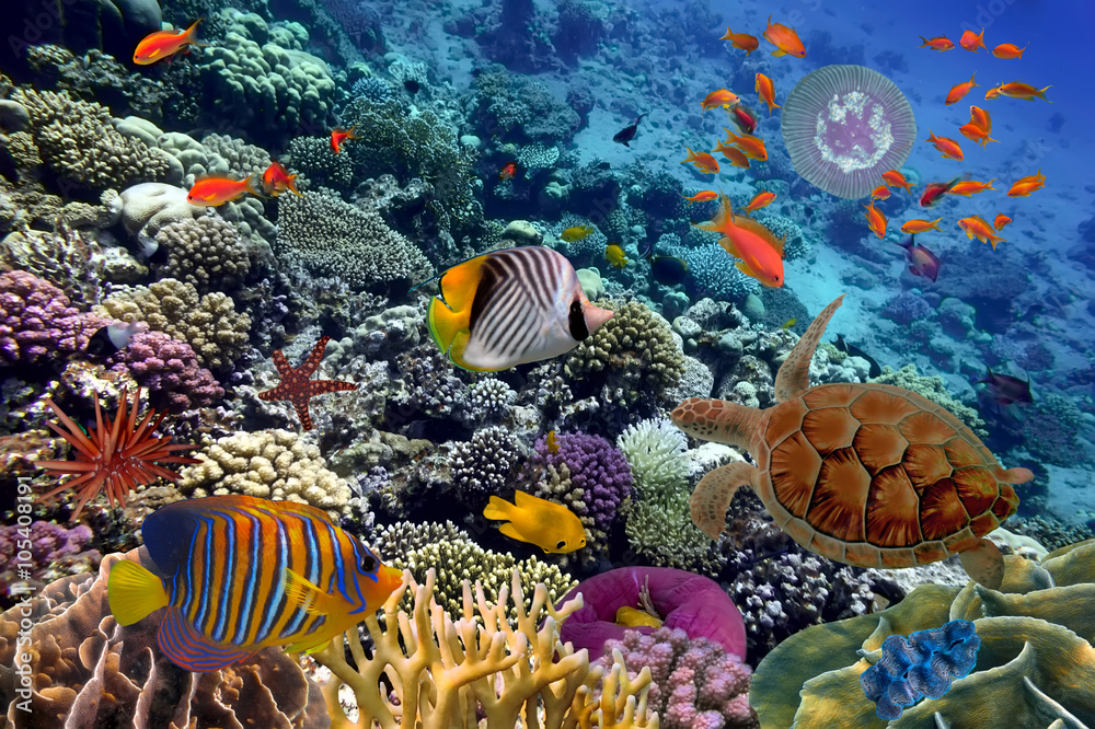 Naklejka premium Colorful coral reef with many fishes and sea turtle