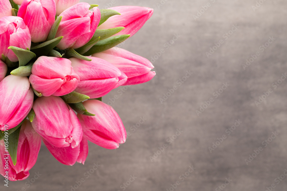 More tulip on the grey background. More tulip on the grey background.