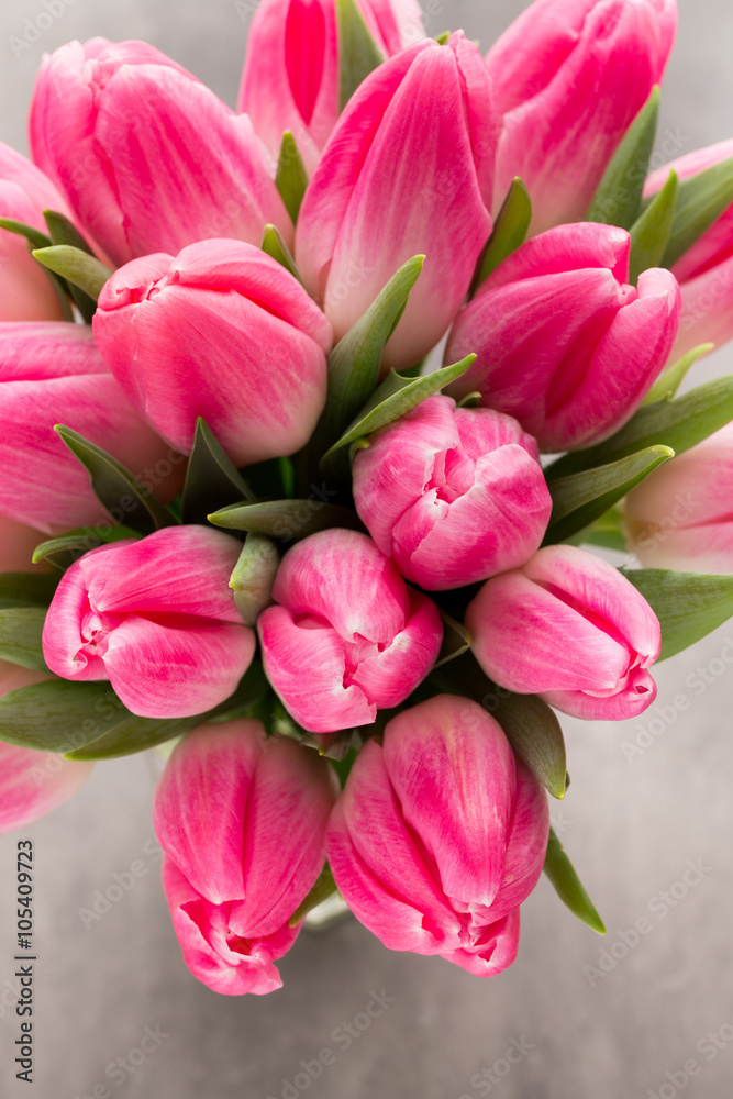 More tulip on the grey background. More tulip on the grey background.
