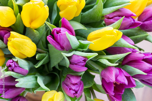 Purple and yellow tulip bouquet. More tulip on the grey backgrou