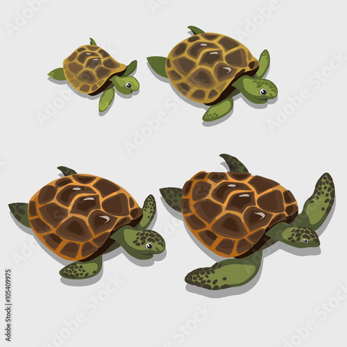 Group of turtles in a cartoon style closeup