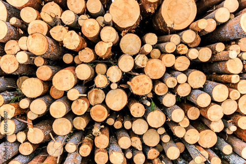 logs closeup  pine logs  russian winter