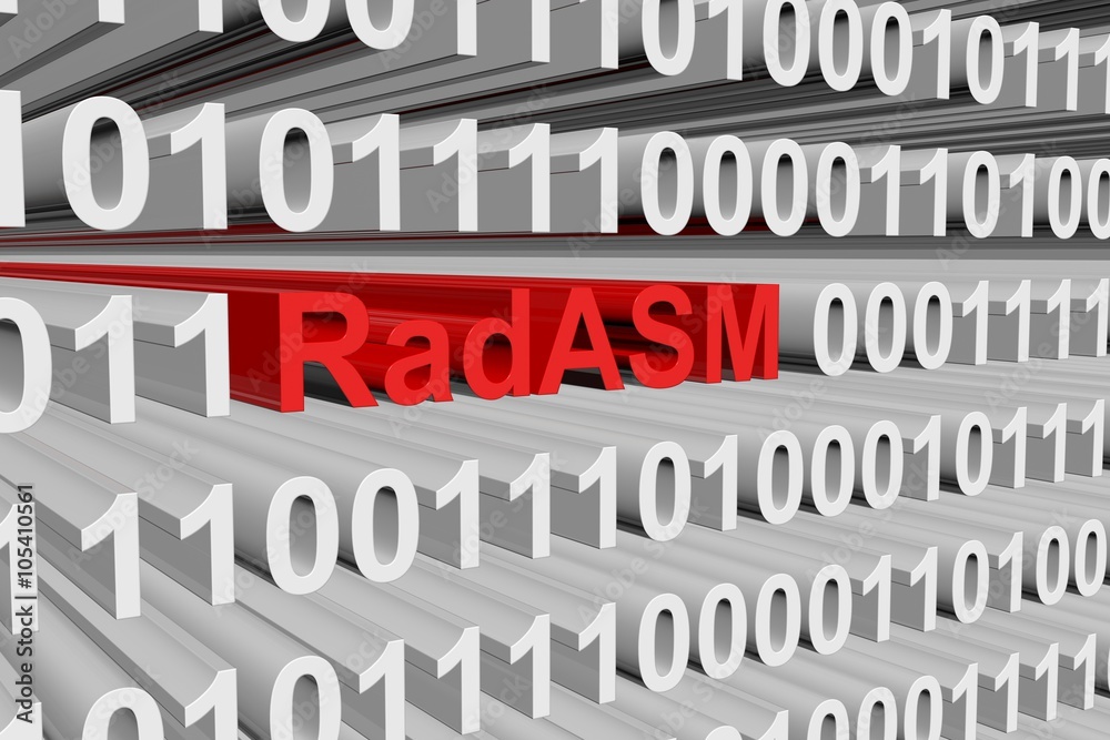 RadASM is presented in the form of binary code